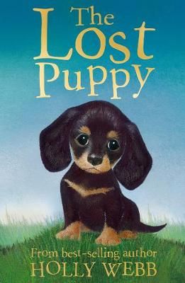 Picture of The Lost Puppy