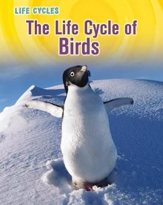 Picture of The Life Cycle of Birds
