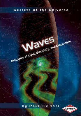 Picture of Waves: Principles of Light, Electricity and Magnetism