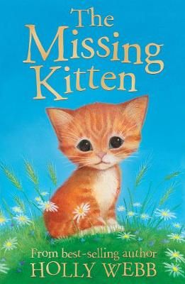 Picture of The Missing Kitten