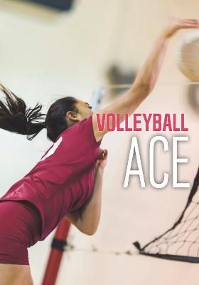 Picture of Volleyball Ace