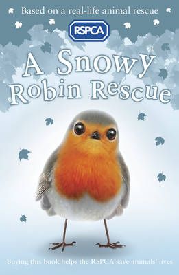 Picture of A Snowy Robin Rescue