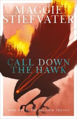 Picture of Call Down the Hawk: The Dreamer Trilogy #1