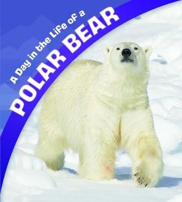 Picture of A Day in the Life of a Polar Bear