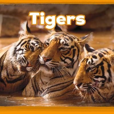 Picture of Tigers