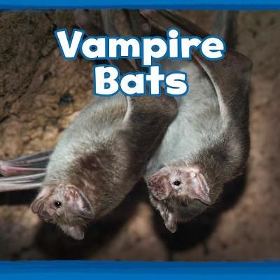 Picture of Vampire Bats
