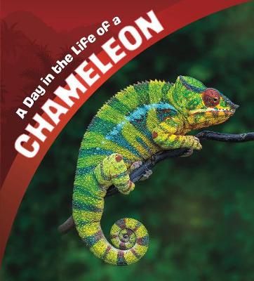 Picture of A Day in the Life of a Chameleon