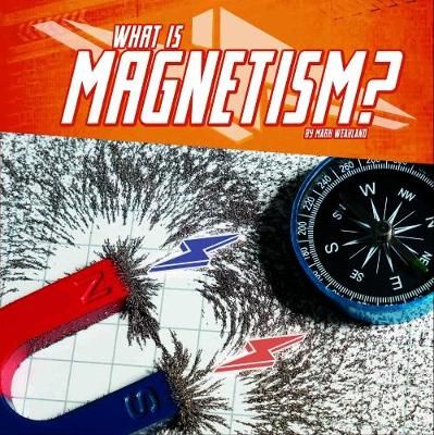Picture of What Is Magnetism?