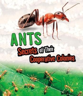 Picture of Ants: Secrets of Their Cooperative Colonies
