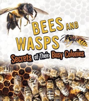 Picture of Bees and Wasps: Secrets of Their Busy Colonies