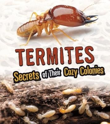 Picture of Termites: Secrets of Their Cozy Colonies