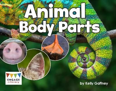 Picture of Animal Body Parts