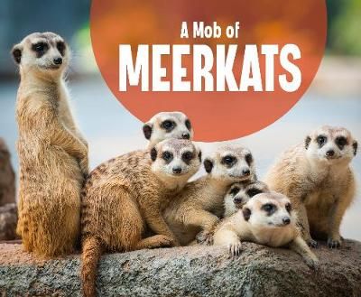 Picture of A Mob of Meerkats