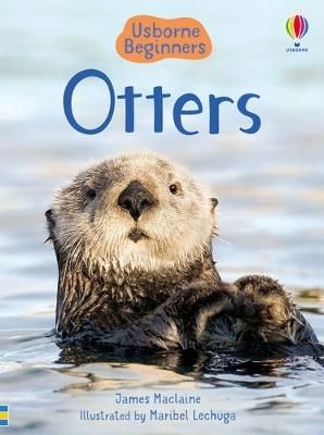 Picture of Otters