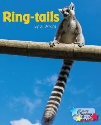 Picture of Ring-tails