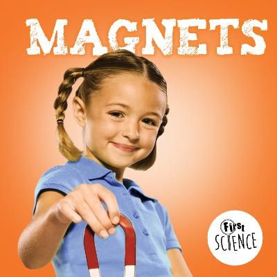 Picture of Magnets