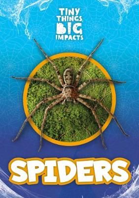 Picture of Spiders