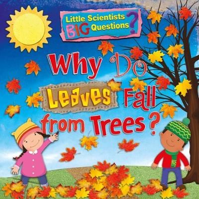 Picture of Why Do Leaves Fall From Trees?