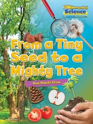 Picture of Fundamental Science Key Stage 1: From a Tiny Seed to a Mighty Tree: How Plants Grow: 2016