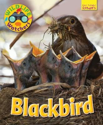 Picture of Wildlife Watchers: Blackbird: 2017