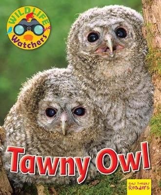 Picture of Wildlife Watchers: Tawny Owl: 2017
