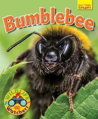 Picture of Wildlife Watchers: Bumblebee: 2017