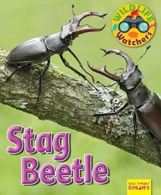 Picture of Wildlife Watchers: Stag Beetle: 2017