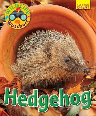Picture of Wildlife Watchers: Hedgehog: 2017