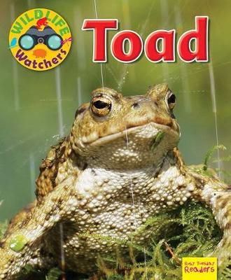 Picture of Wildlife Watchers: Toad: 2017