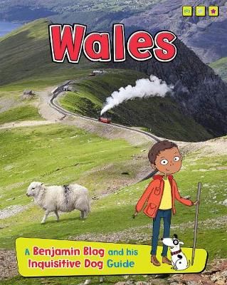 Picture of Wales: A Benjamin Blog and His Inquisitive Dog Guide