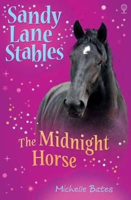 Picture of The Midnight Horse