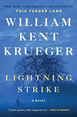 Picture of Lightning Strike: A Novel