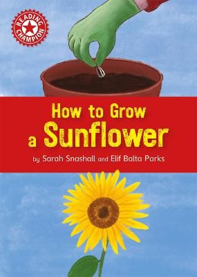 Picture of Reading Champion: How to Grow a Sunflower: Independent Reading Non-fiction Red 2