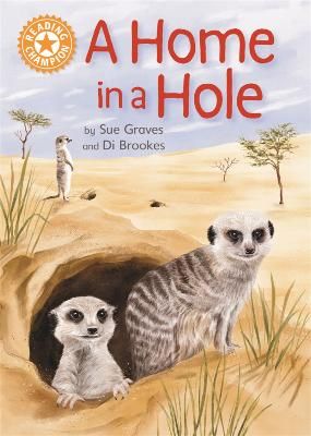 Picture of Reading Champion: A Home in a Hole: Independent Reading Orange 6 Non-fiction