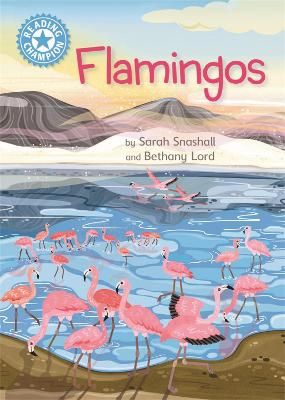 Picture of Reading Champion: Flamingos: Independent Reading Non-Fiction Blue 4
