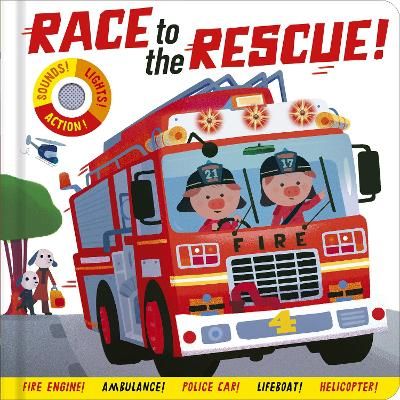 Picture of Race to the Rescue