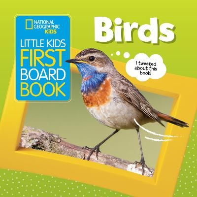 Picture of Little Kids First Board Book: Birds (First Board Books)