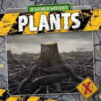 Picture of Plants