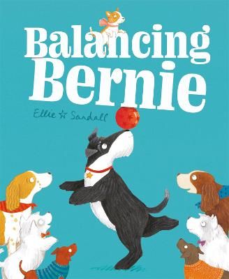 Picture of Balancing Bernie