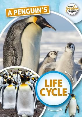Picture of A Penguin's Life Cycle