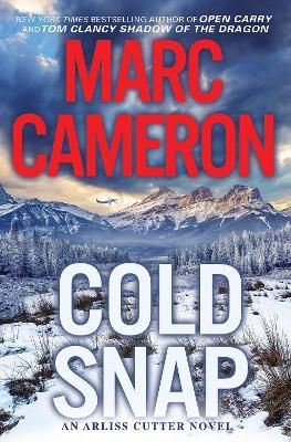 Picture of Cold Snap: An Action Packed Novel of Suspense