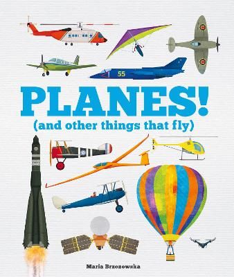 Picture of Planes! (and Other Things that Fly)