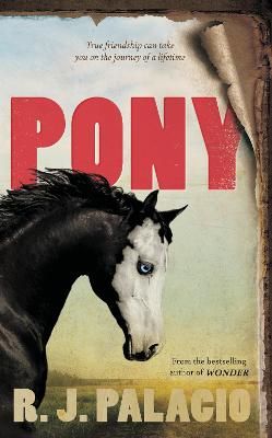 Picture of Pony: from the bestselling author of Wonder