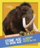 Picture of Everything: Stone Age to Iron Age: Go hunting for facts, photos and fun! (National Geographic Kids)