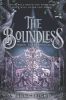 Picture of The Boundless