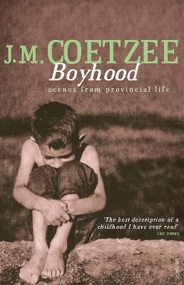 Picture of Boyhood: A Memoir