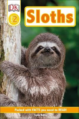 Picture of Sloths