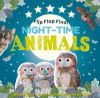 Picture of Flip Flap Find! Night-time Animals