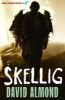 Picture of Skellig