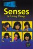Picture of Senses in Living Things: Senses in Living Things Compilation Big Book